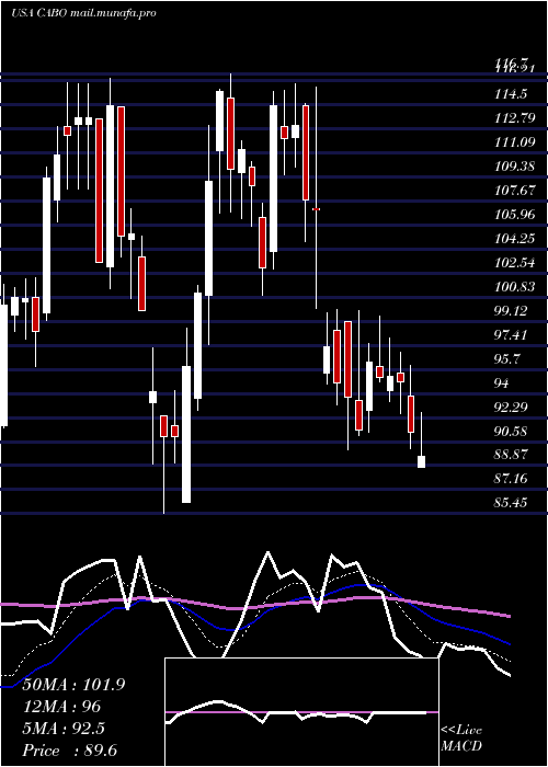  Daily chart CableOne