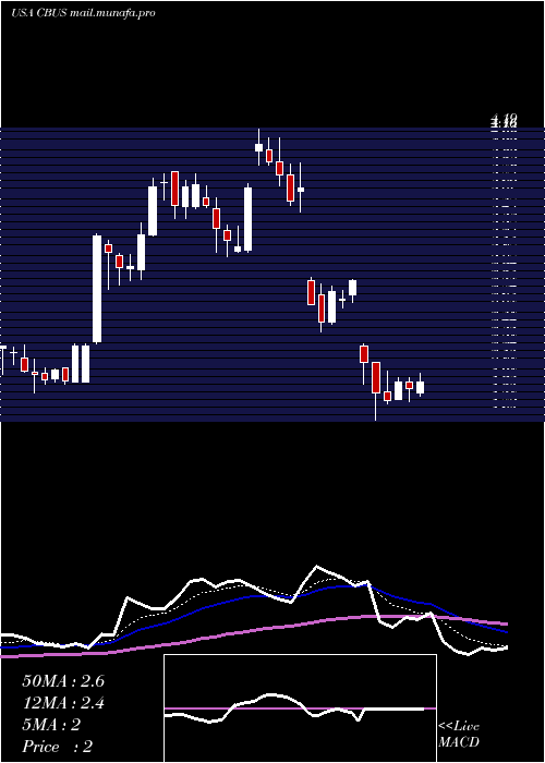  Daily chart CibusCorp