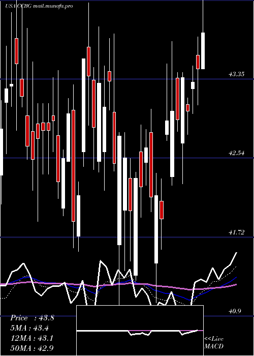  Daily chart CapitalCity