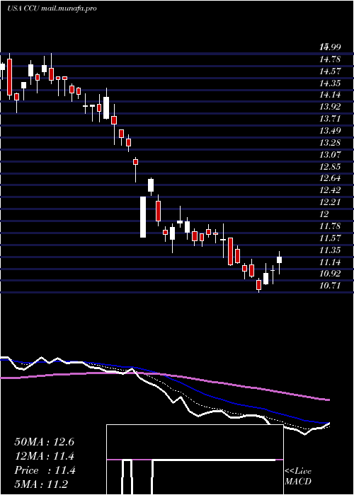  Daily chart CompaniaCervecerias
