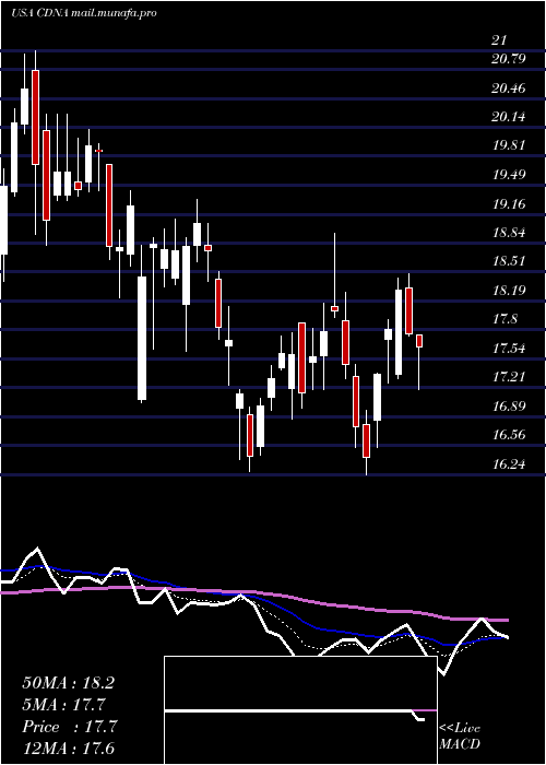  Daily chart CaredxInc