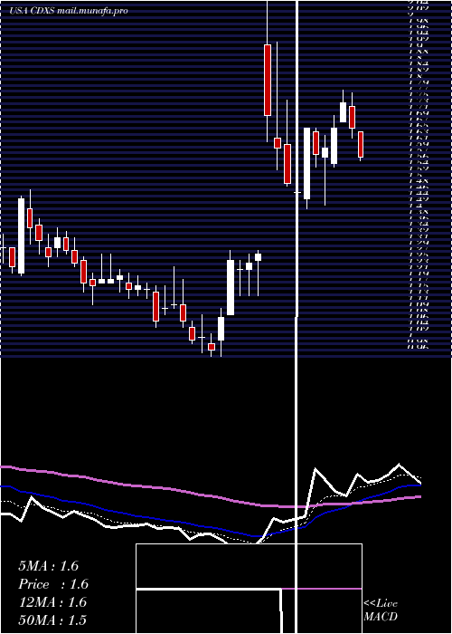  Daily chart CodexisInc