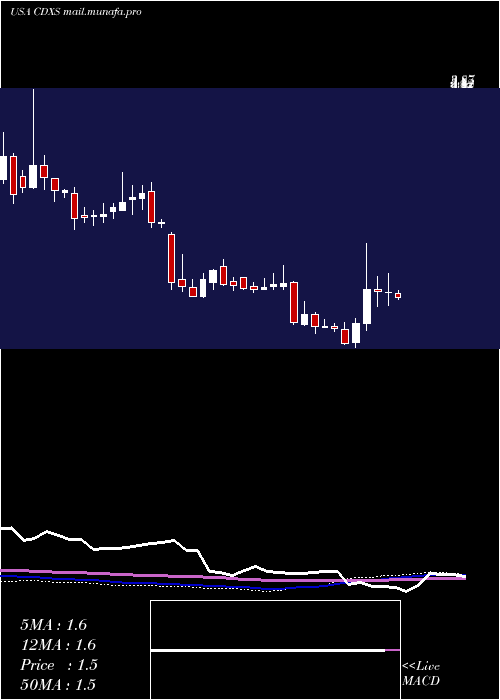  weekly chart CodexisInc