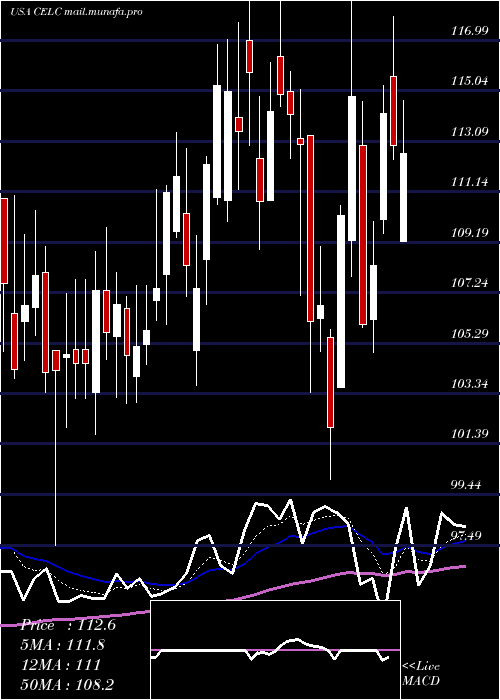  Daily chart CelcuityInc