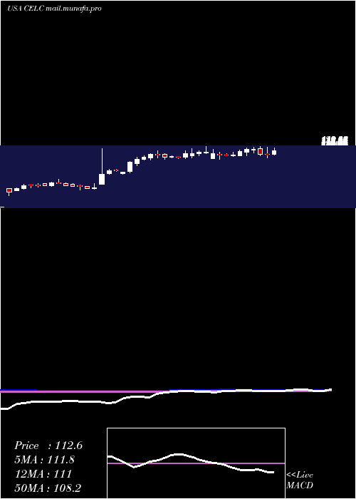  weekly chart CelcuityInc