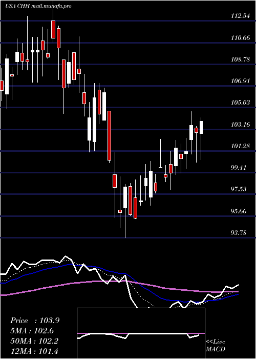  Daily chart ChoiceHotels