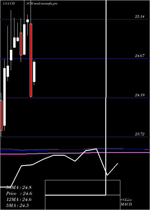  monthly chart ChsInc