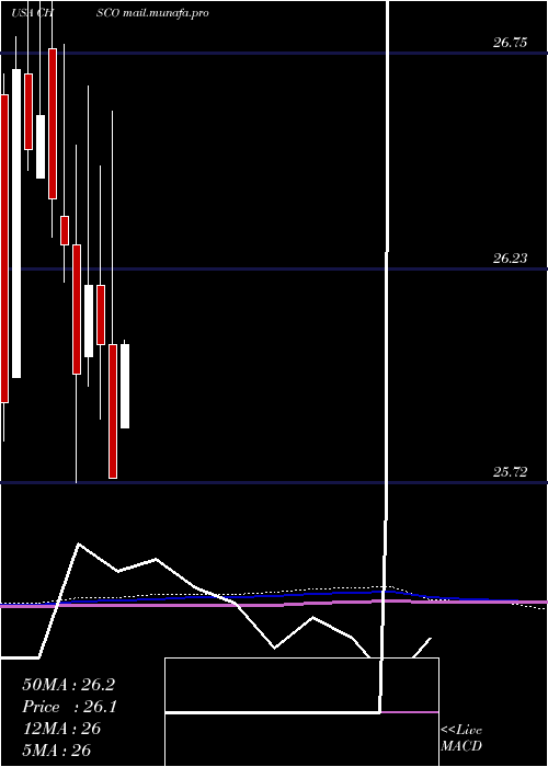  monthly chart ChsInc