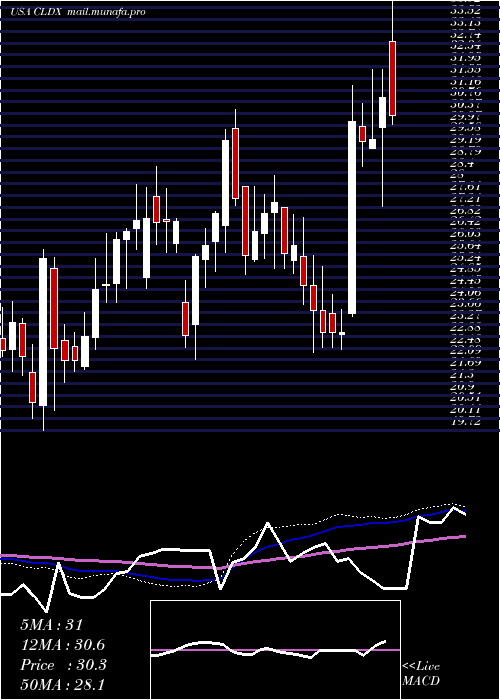  weekly chart CelldexTherapeutics