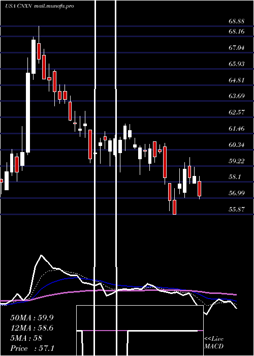  Daily chart PcConnection