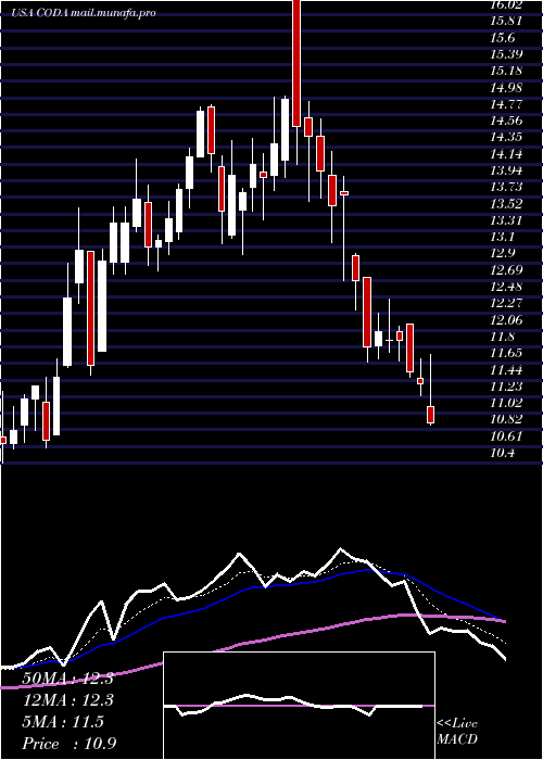  Daily chart CodaOctopus
