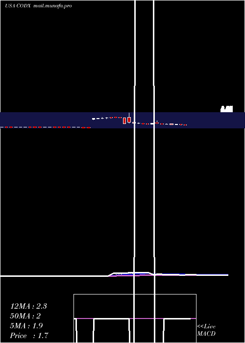  Daily chart CoDiagnostics