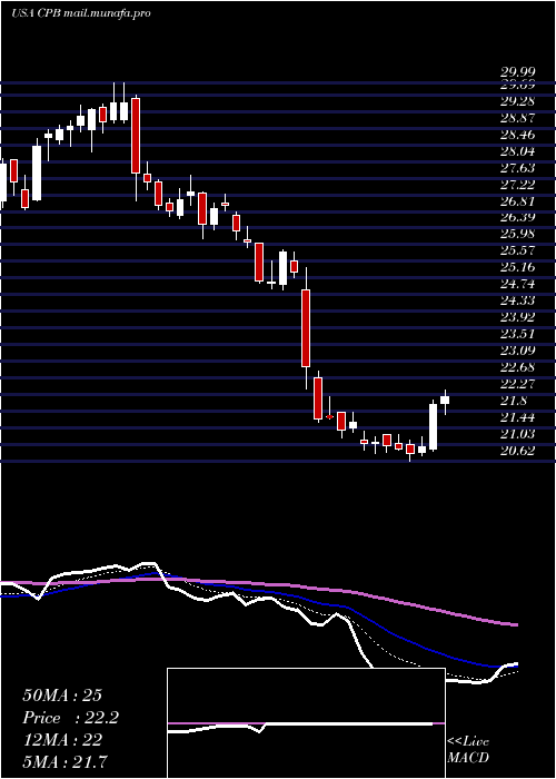  Daily chart CampbellSoup