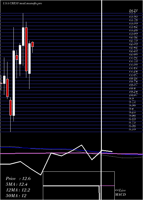  monthly chart CresudS