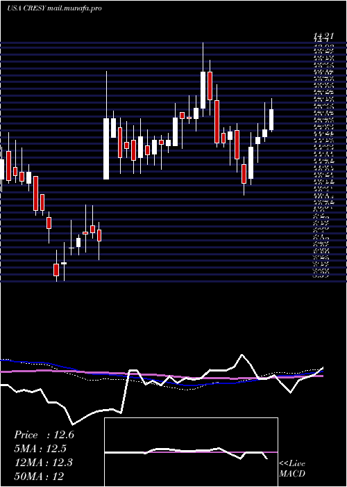  weekly chart CresudS