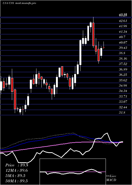  weekly chart CsxCorporation