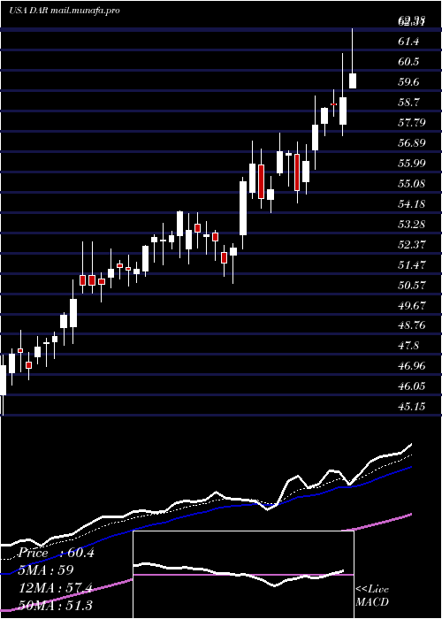  Daily chart DarlingIngredients