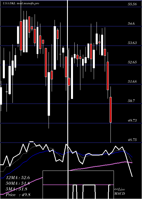  Daily chart DelekLogistics