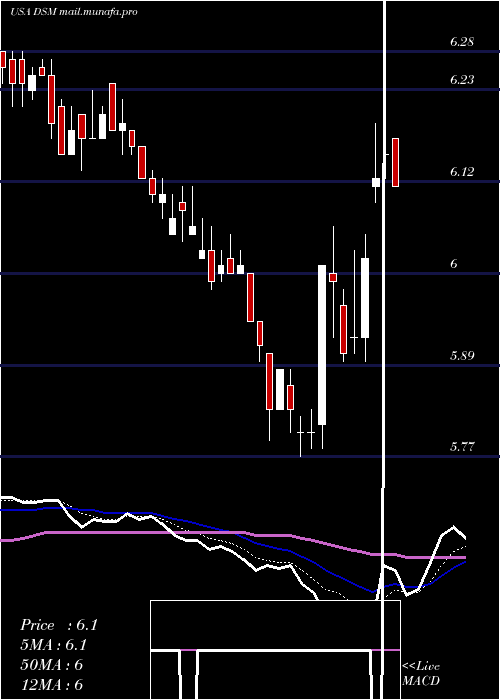  Daily chart DreyfusStrategic