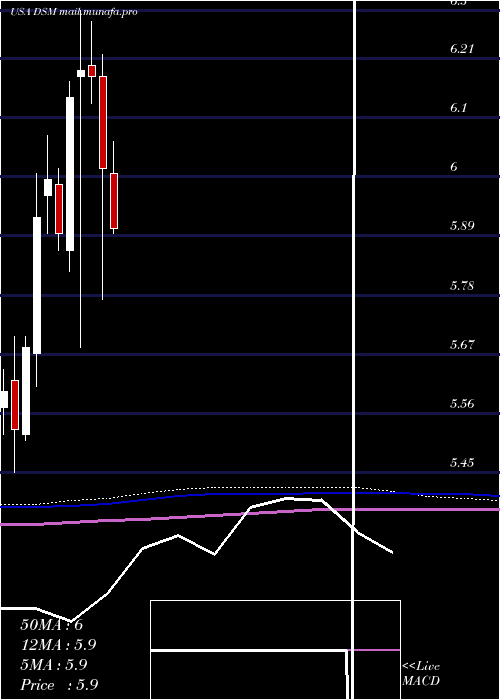  monthly chart DreyfusStrategic