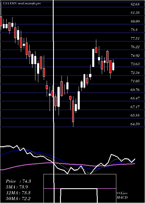  Daily chart EastmanChemical