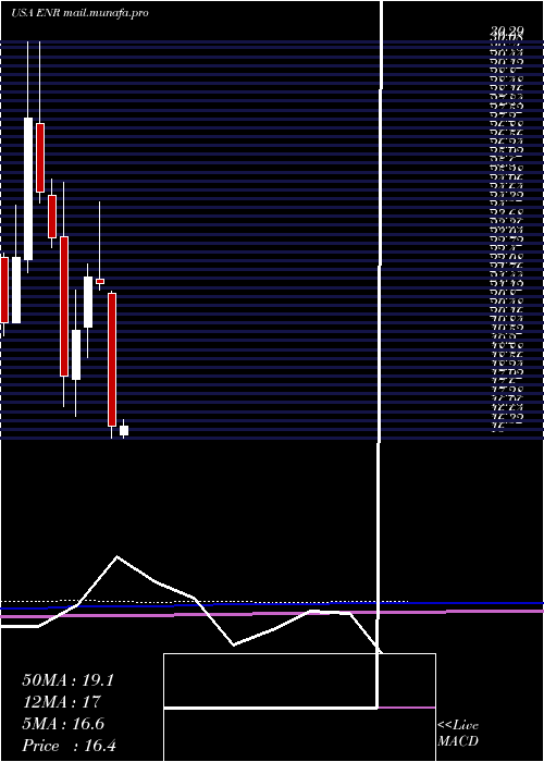  monthly chart EnergizerHoldings