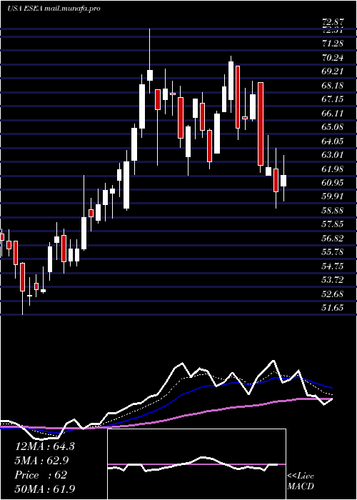  Daily chart Euroseas