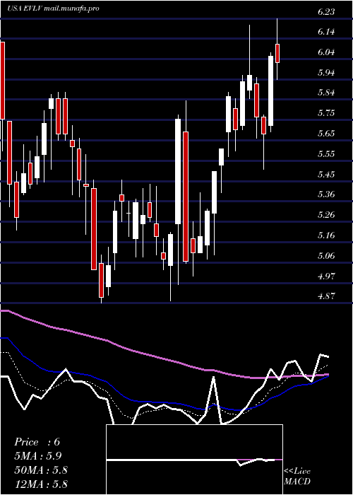 Daily chart EvineLive