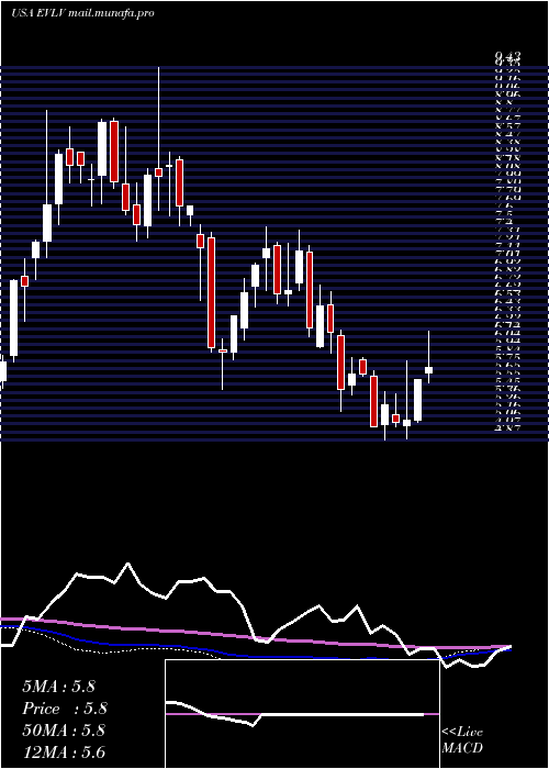  weekly chart EvineLive