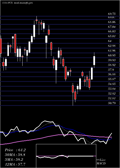  Daily chart FreeportMcmoran
