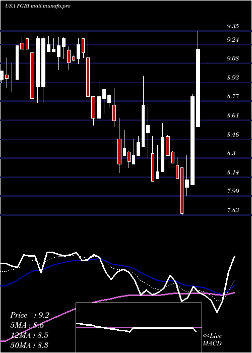  Daily chart FirstGuaranty