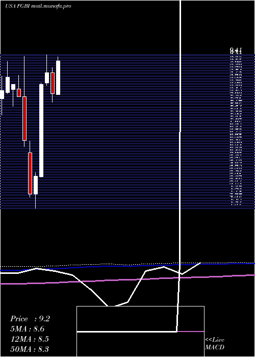  monthly chart FirstGuaranty