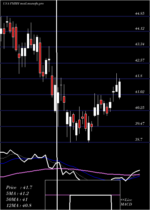  Daily chart FirstMid