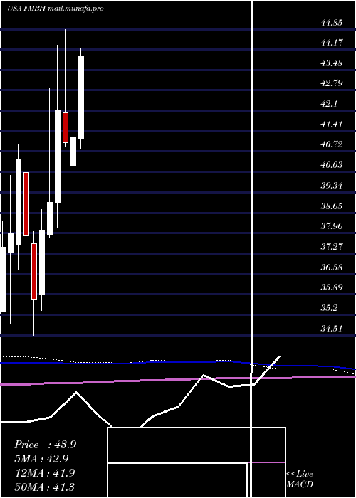  monthly chart FirstMid