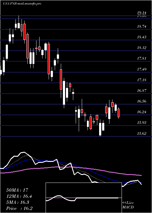  Daily chart FN
