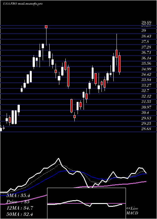  Daily chart Frontline