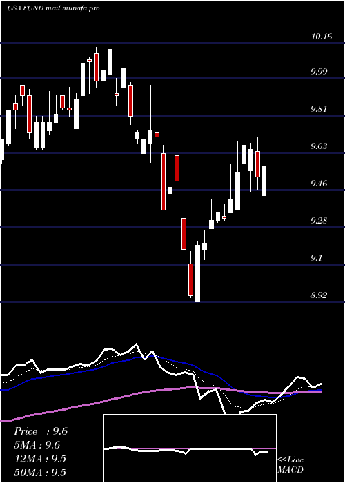  Daily chart SprottFocus