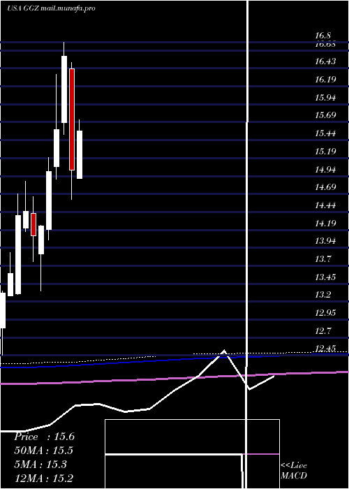  monthly chart GabelliGlobal
