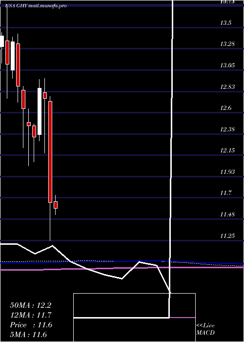  monthly chart PgimGlobal