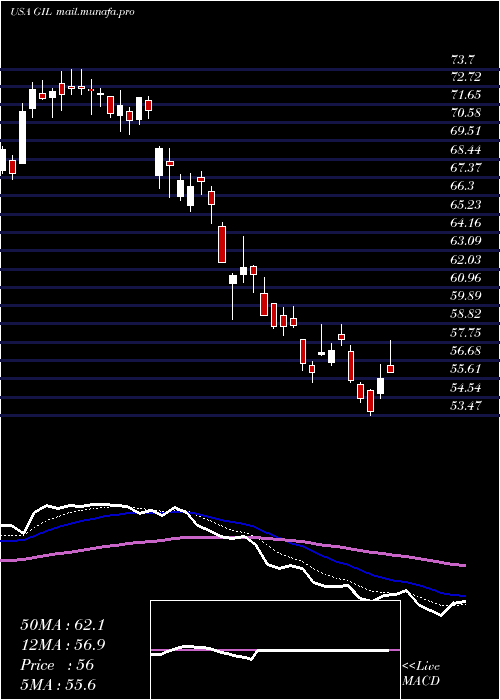  Daily chart GildanActivewear