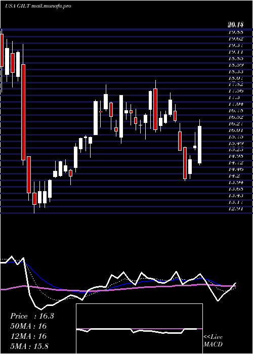  Daily chart GilatSatellite