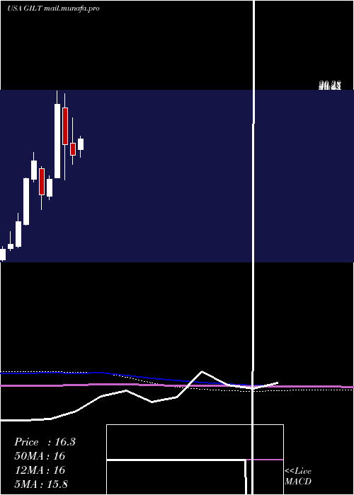  monthly chart GilatSatellite