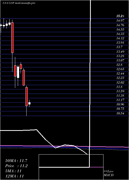 monthly chart GuggenheimStrategic