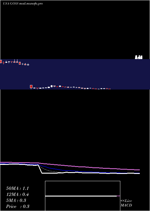  Daily chart GossamerBio