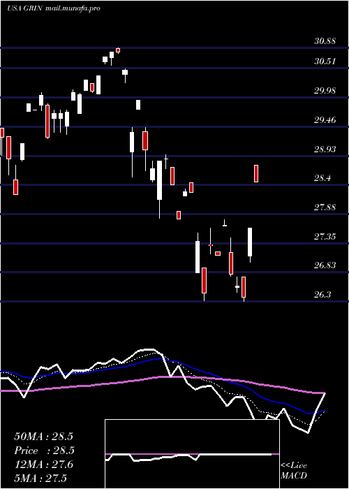  Daily chart GrindrodShipping