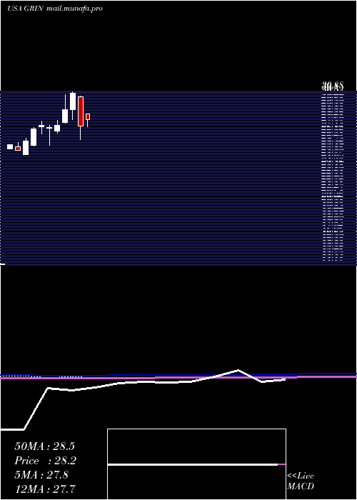  monthly chart GrindrodShipping