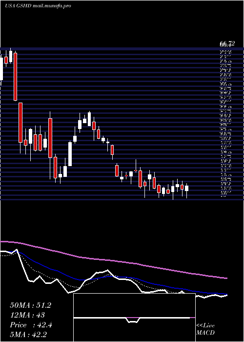  Daily chart GooseheadInsurance