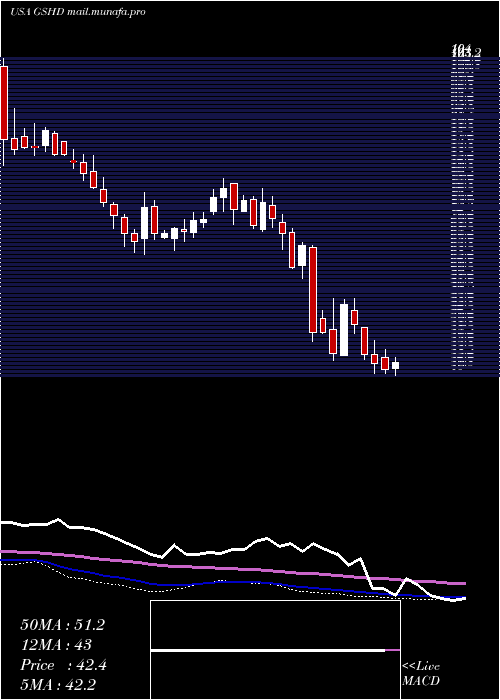  weekly chart GooseheadInsurance