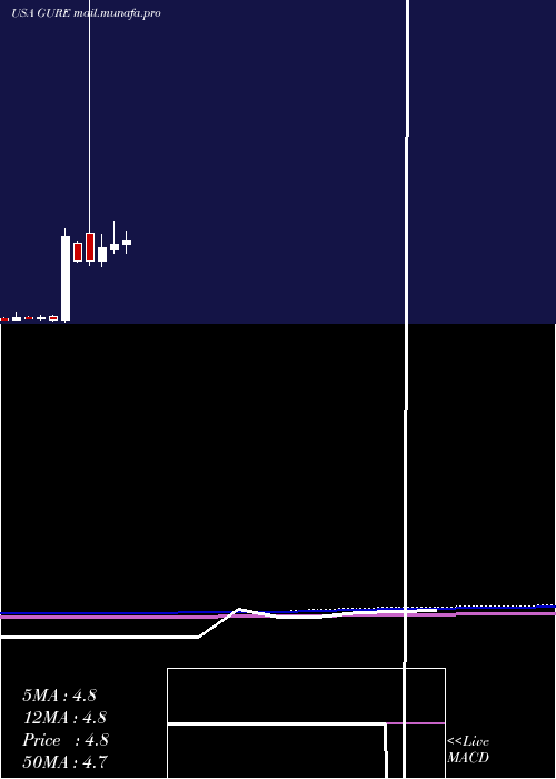  monthly chart GulfResources