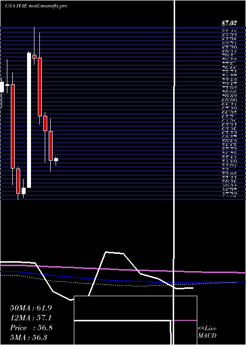  monthly chart HaemoneticsCorporation